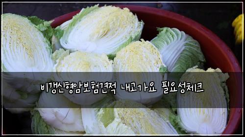 비갱신형암보험견적 내고가요 필요성체크