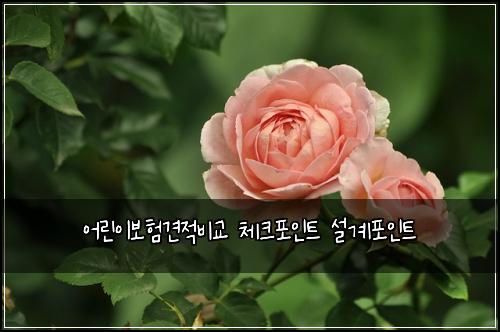 어린이보험견적비교 체크포인트 설계포인트