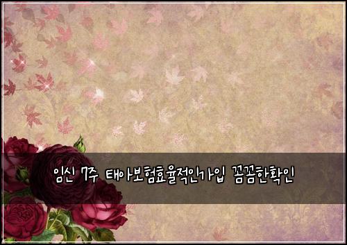 임신 7주 태아보험효율적인가입 꼼꼼한확인