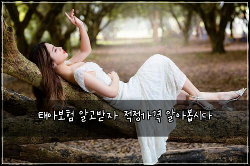 태아보험 알고받자  적정가격 알아봅시다