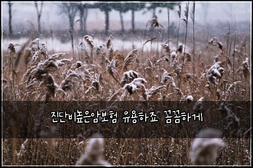 진단비높은암보험 유용하죠  꼼꼼하게