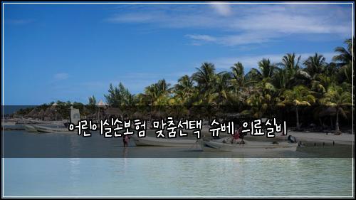 어린이실손보험 맞춤선택  슈베 의료실비