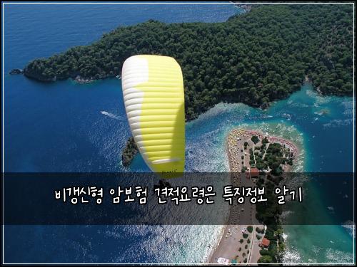 ๋น๊ฐฑ์ ํ ์๋ณดํ ๊ฒฌ์ ์๋ น์ ํน์ง์ ๋ณด ์๊ธฐ