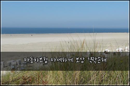 자동차보험 자세하게  보상 격락손해