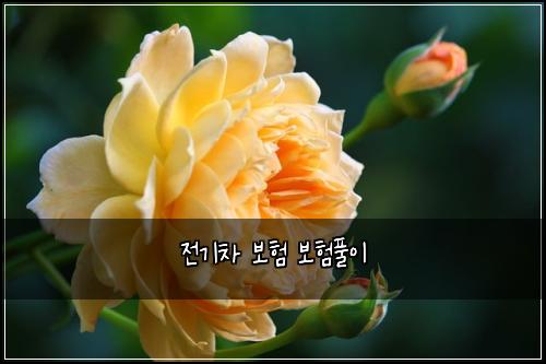 ์ ๊ธฐ์ฐจ ๋ณดํ ๋ณดํํ์ด