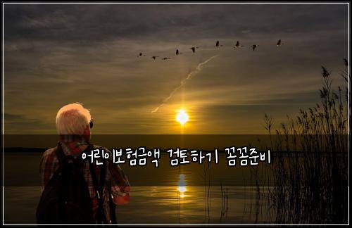 어린이보험금액 검토하기 꼼꼼준비