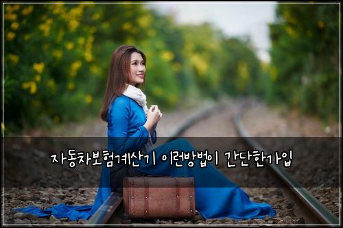 자동차보험계산기 이런방법이 간단한가입