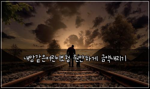 내맘같은어린이보험 원만하게  금액내리기