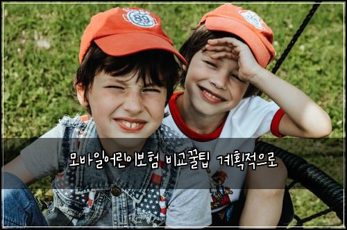 ๋ชจ๋ฐ์ผ์ด๋ฆฐ์ด๋ณดํ ๋น๊ต๊ฟํ ๊ณํ์ ์ผ๋ก