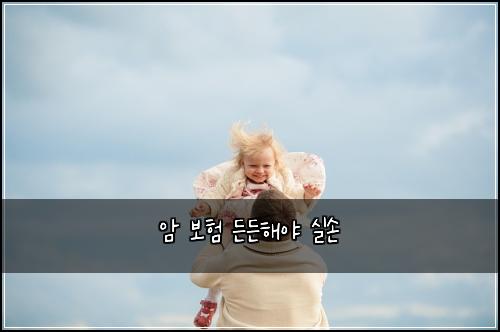 암 보험 든든해야  실손