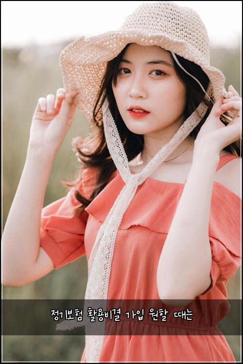 ์ ๊ธฐ๋ณดํ ํ์ฉ๋น๊ฒฐ ๊ฐ์
์ํ ๋๋