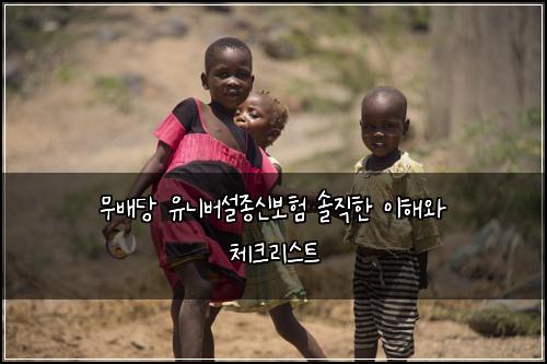 무배당 유니버설종신보험 솔직한 이해와 체크리스트