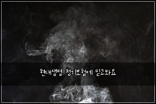 현대생명 정기보험에 믿고봐요