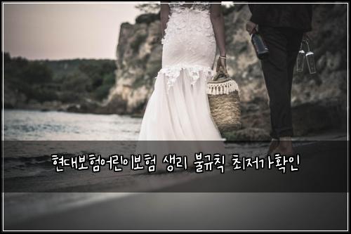 현대보험어린이보험 생리 불규칙 최저가확인