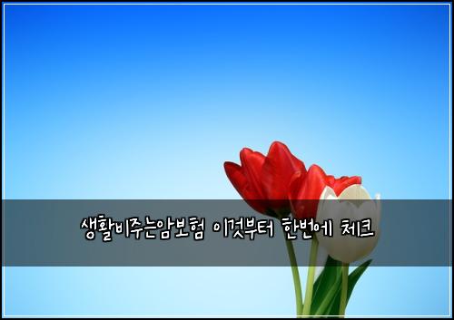 생활비주는암보험 이것부터  한번에 체크