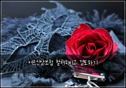 ์ด๋ฅด์ ์๋ณดํ ์ฒ ์ ํ๋น๊ต ๊ฒํ ํ๊ธฐ