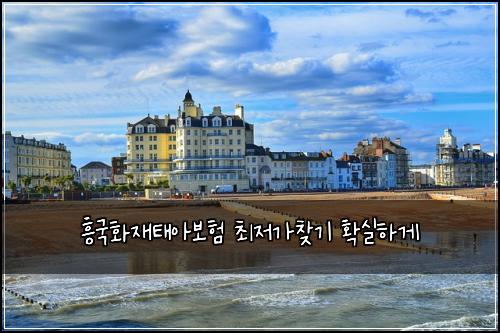흥국화재태아보험 최저가찾기  확실하게
