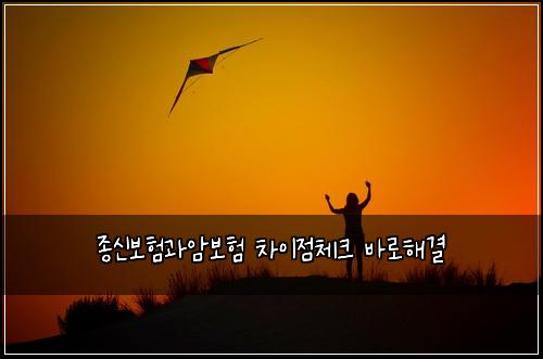 종신보험과암보험 차이점체크 바로해결