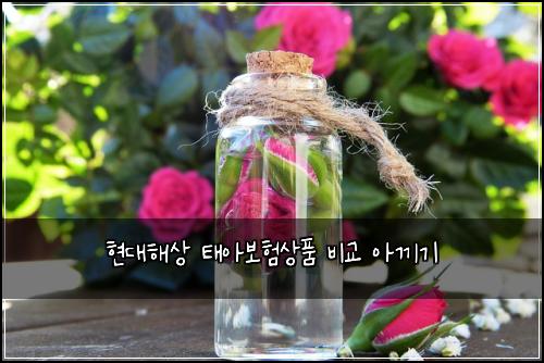 현대해상 태아보험상품 비교 아끼기