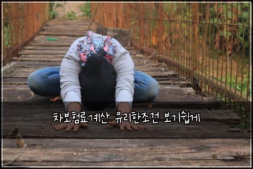 ์ฐจ๋ณดํ๋ฃ๊ณ์ฐ ์ ๋ฆฌํ์กฐ๊ฑด ๋ณด๊ธฐ์ฝ๊ฒ