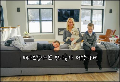 태아보험사이트 받아놓자 더든든하게