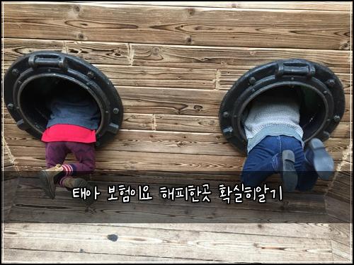 태아 보험이요 해피한곳 확실히알기