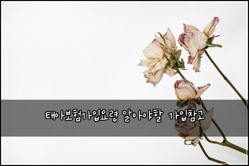 태아보험가입요령 알아야할 가입참고