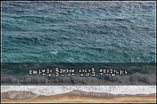 태아보험 플랜정보  상담좀 부탁합니다