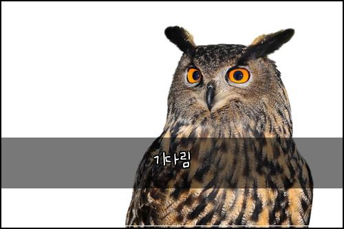 ๊ธฐ๋ค๋ฆผ
