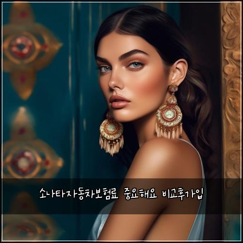소나타자동차보험료 중요해요 비교후가입