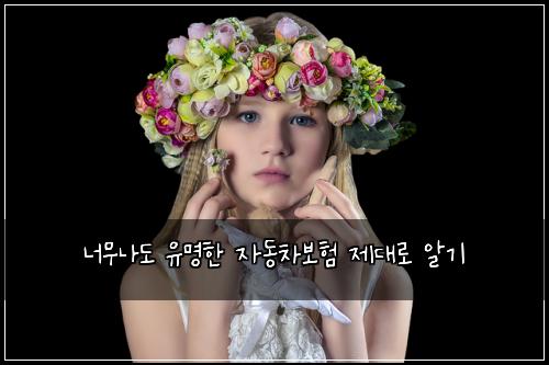 너무나도 유명한 자동차보험 제대로 알기