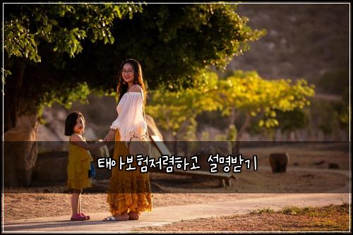 태아보험저렴하고 설명받기
