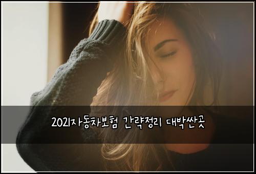 2021자동차보험 간략정리  대박싼곳