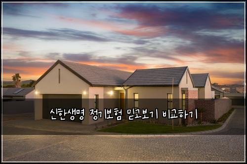 신한생명 정기보험 믿고보기  비교하기