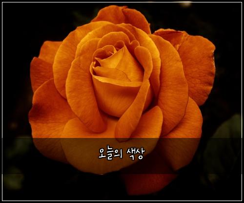 오늘의 색상
