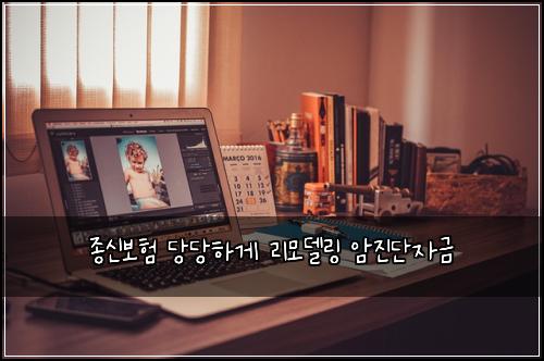 종신보험 당당하게  리모델링 암진단자금