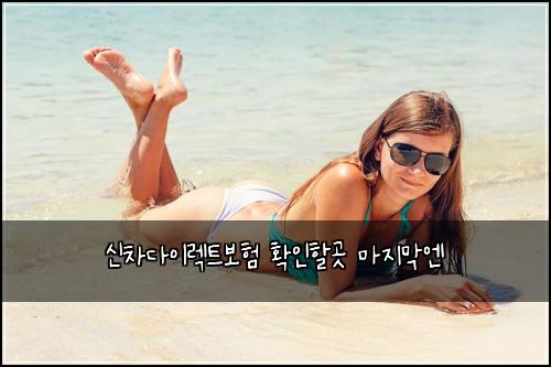 신차다이렉트보험 확인할곳  마지막엔