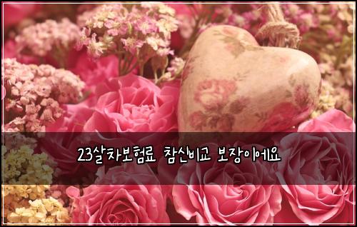 23살차보험료 참신비교 보장이에요