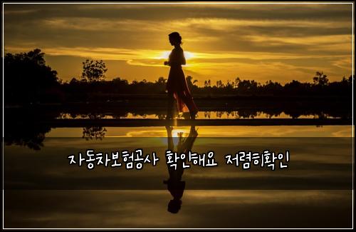 ์๋์ฐจ๋ณดํ๊ณต์ฌ ํ์ธํด์ ์ ๋ ดํํ์ธ