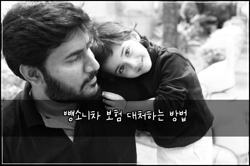뺑소니차 보험 대처하는 방법