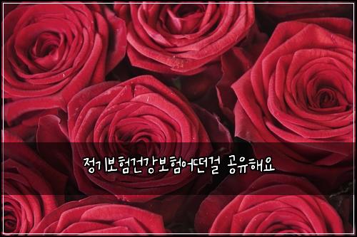 ์ ๊ธฐ๋ณดํ๊ฑด๊ฐ๋ณดํ์ด๋ค๊ฑธ ๊ณต์ ํด์