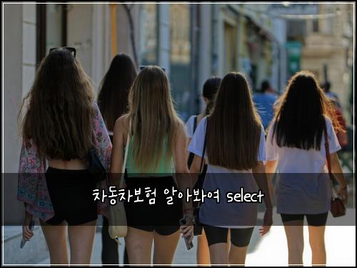 차동차보험 알아봐여  select