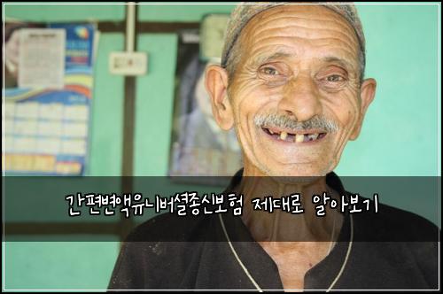 간편변액유니버셜종신보험 제대로 알아보기