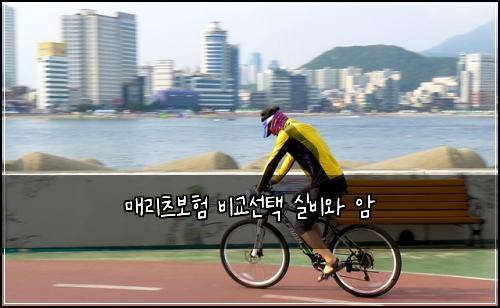 매리츠보험 비교선택  실비와 암