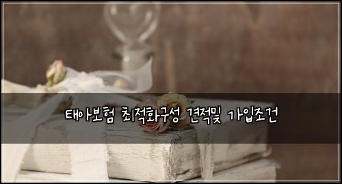태아보험 최적화구성  견적및 가입조건