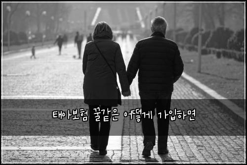 태아보험 꿀같은  어떻게 가입하면