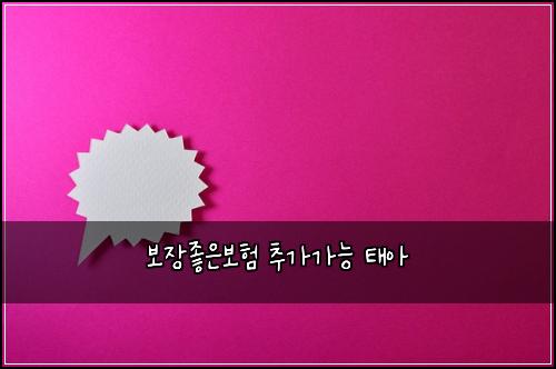 보장좋은보험 추가가능  태아