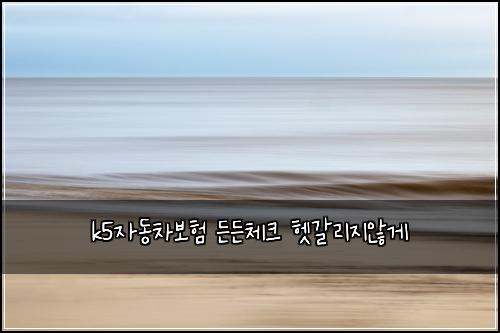 k5자동차보험 든든체크  헷갈리지않게