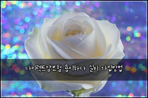 ๋ค์ด๋ ํธ์๋ณดํ ์ฉ์ดํ๋ค ์ค๋น ๊ฐ์
๋ฐฉ๋ฒ