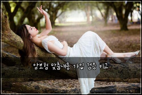 ์๋ณดํ ๋ง์ถค๋ด์ฉ ๊ฐ์
๊ฒ์ฆ ๋น๊ต